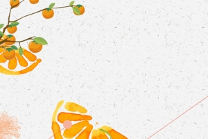 秋季柿子熟了文艺手绘灰色banner