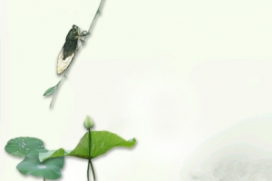 夏至背景Banner