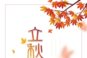 秋天立秋树叶树枝线框落叶