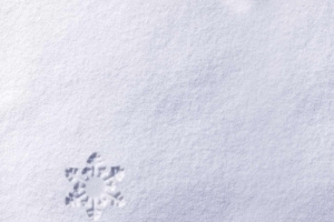 清新简约雪地质感banner