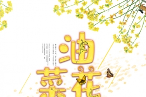 油菜花开元素