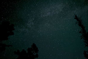 树 剪影 天空 星星 深色 4k壁纸 3840x2160