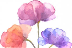 手绘,水彩,水墨，花朵,国风，花朵