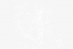 清新白色水气泡装饰图案