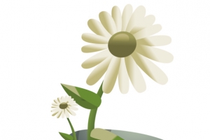 矢量石头缝里的花