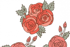 手绘玫瑰花