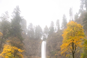 自然 树林 瀑布 桥 秋天风景 4k手机壁纸