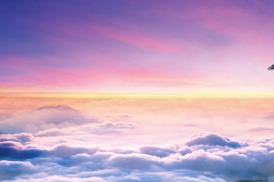 天空雄鹰背景