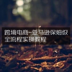 跨境电商实战指南，亚马逊保姆级全流程操作教程
