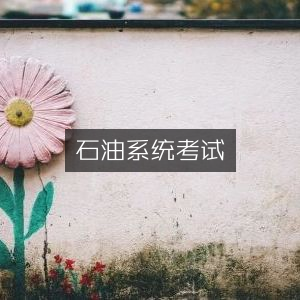 石油行业专业考试