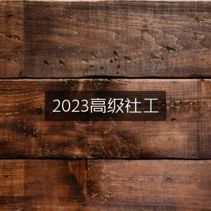 2023年资深社会工作师