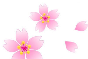 卡通粉红花蕊