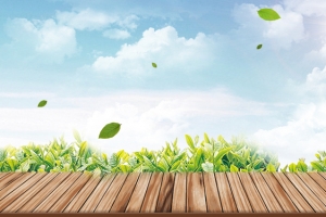 春茶上新茶叶背景海报banner