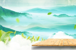绿色春茶背景海报banner