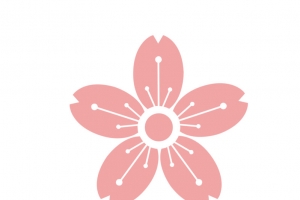 创意樱花桃花高清PNG透明免扣设计素材免费下载