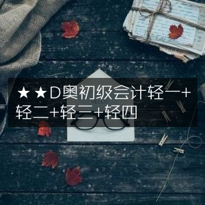 D奥初级会计全套辅导，轻一至轻四