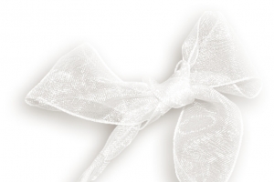 复古 装饰 素材 白色蕾丝蝴蝶结