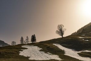 树木 丘陵 雪 自然 风景 4k壁纸 3840x2160