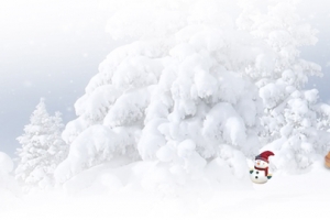 保暖雪地靴雪松白色banner