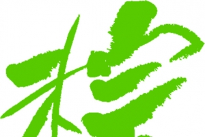 端午节粽字体