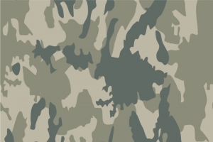 迷彩的部队军旅风格