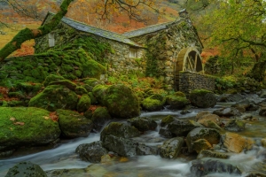 秋天 树叶 树木 河流 岩石 苔藓 水磨 4K风景图片壁纸