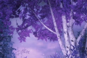 紫色神秘夜晚树林