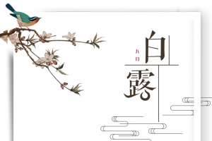 白露秋天树枝花朵喜鹊手绘人物边框