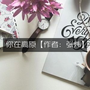 高原之作 —— 张炜著 文学艺术书籍