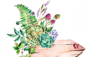 手绘植物指示路牌