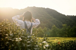 茶园美女阳光山峰