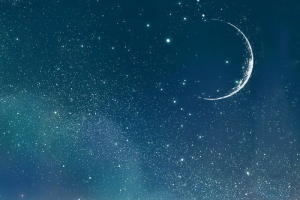 仰望夜空