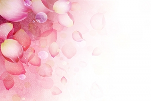 38妇女节小清新玫瑰花瓣背景