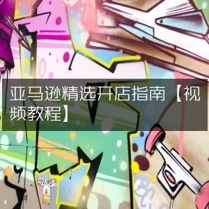 亚马逊官方开店宝典【视频教学】