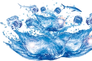 水花 水波纹