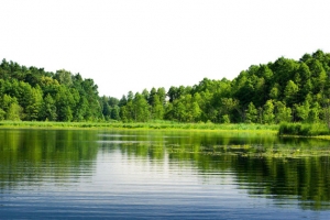 山水
