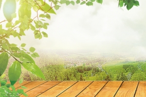 清新水果食品猕猴桃奇异果淘宝banner