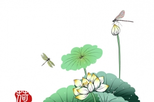 荷叶 荷花 印章图