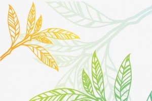 茶叶花纹矢量
