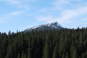 山 雪 树 森林 风景 4k壁纸 3840x2160