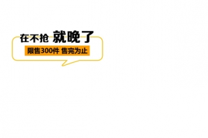主图标签