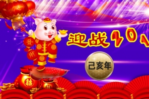 新年金猪贺岁