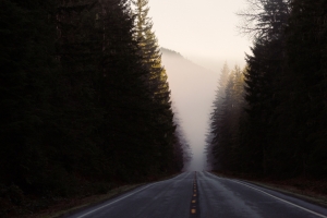 道路 森林 自然风景4K壁纸