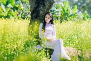 树下坐着的清纯养眼美女4K壁纸
