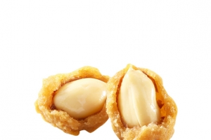 多味花生