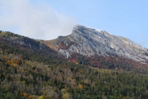 山 峰 森林 树木 斜坡 4k壁纸 3840x2160