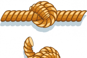 绳子打结造型矢量