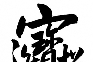 招财进宝合体