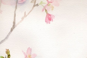 花在纸中央绽放开来