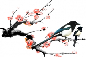 梅花冬季雪景素材